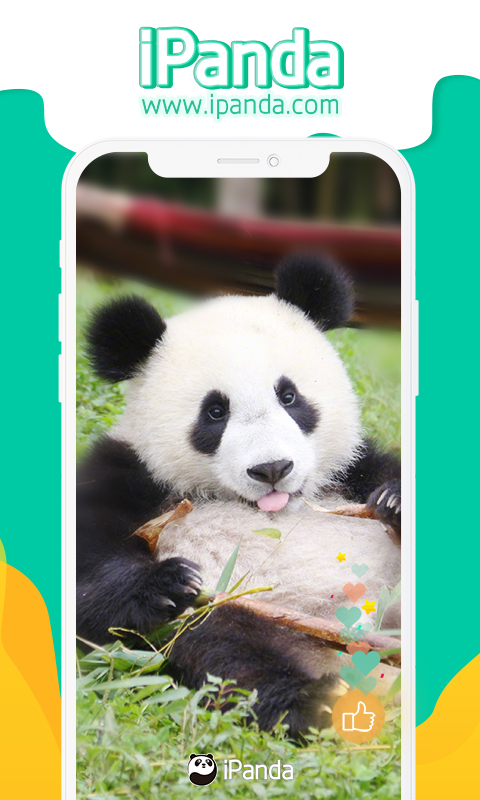 iPanda截图