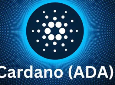 2026年精选：十大安全可靠的Cardano资产存储与交互平台