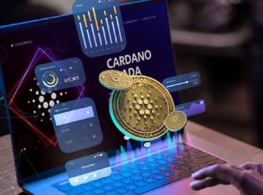 深入掌握加密资产交易：现货与合约实战策略全指南