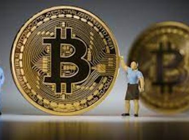 揭秘比特币巨鲸：谁在掌控数字黄金的命脉？