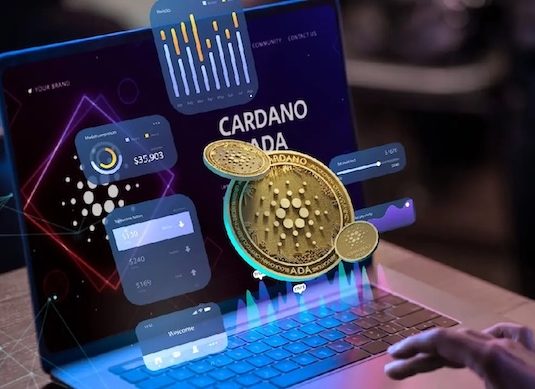 深入掌握加密资产交易：现货与合约实战策略全指南