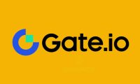 Gate安卓客户端v10.11.8官方下载与安装指南