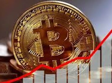 精选五大比特币行情分析工具：从实时数据到深度洞察