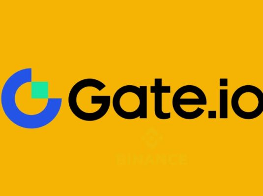 Gate安卓客户端v10.11.8官方下载与安装指南