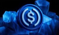 如何在币安交易所购买USDC？币安交易所购买USDC的具体操作指南
