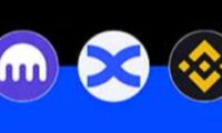 BingX vs Binance vs Kraken：2026年哪个交易所更好？